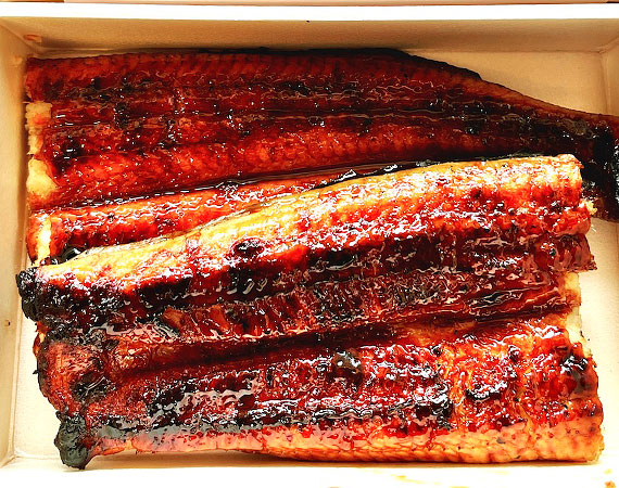 鰻の蒲焼き（太丸鰻1尾）